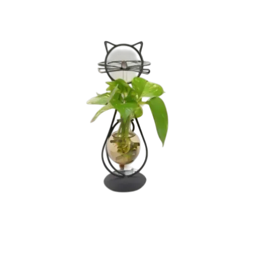 دورق نبات منضدي Plant Terrarium Set Display Glass Tabletop — 4
