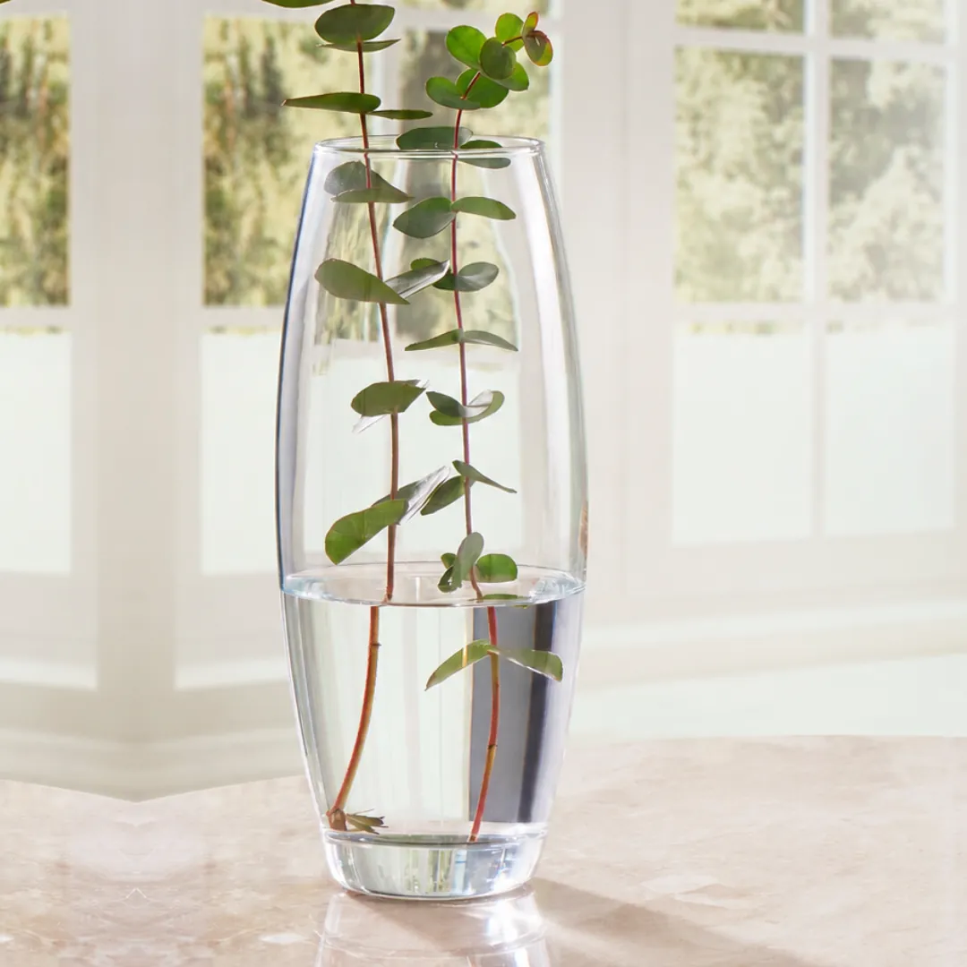 مزهرية زجاجية باشابهجة Pasabahce 43966 - مجموعة BOTANICA — 2